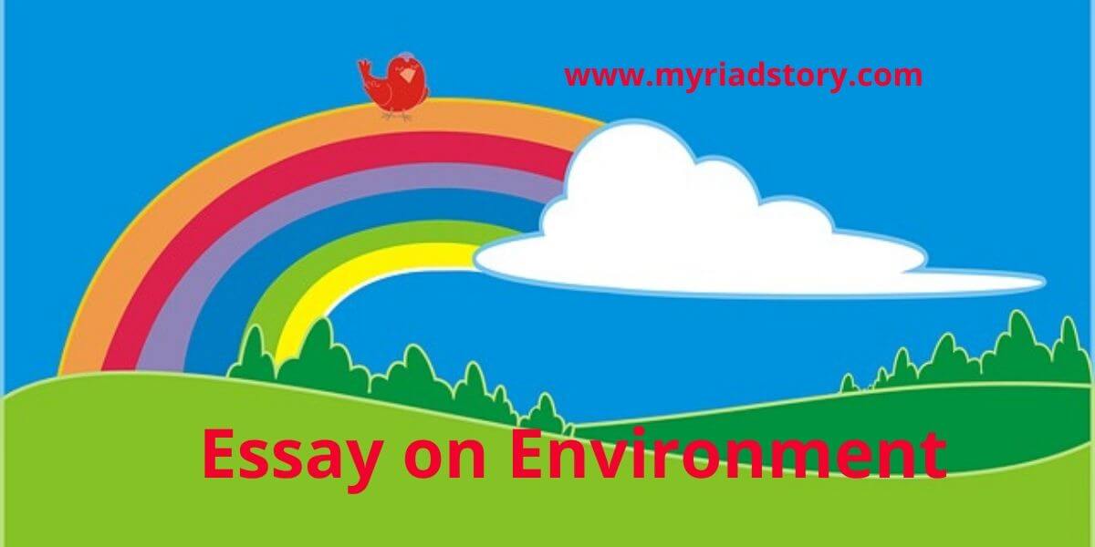 essay on environment