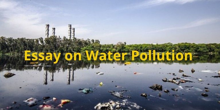 essay on water pollution