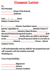 Consent Letter Example and format of consent letter